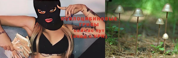 винт Балахна