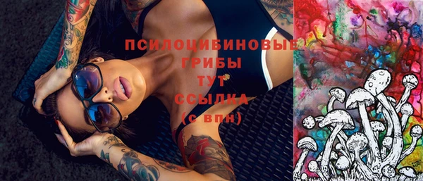 бошки Арсеньев