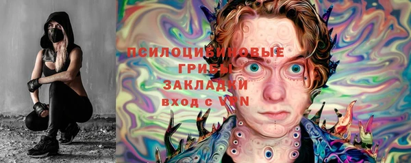 бошки Арсеньев