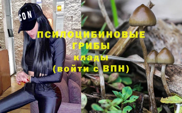 стаф Нестеровская