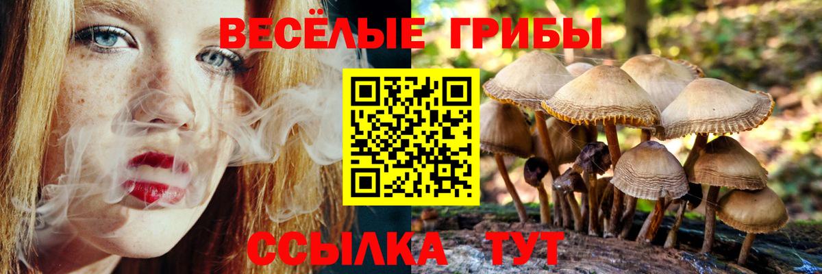 Галлюциногенные грибы ЛСД  цена   Ярцево  Псилоцибиновые грибы Magic Shrooms  Вход с VPN 