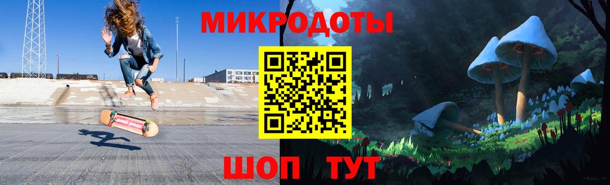 Псилоцибиновые грибы Psilocybine cubensis Ярцево